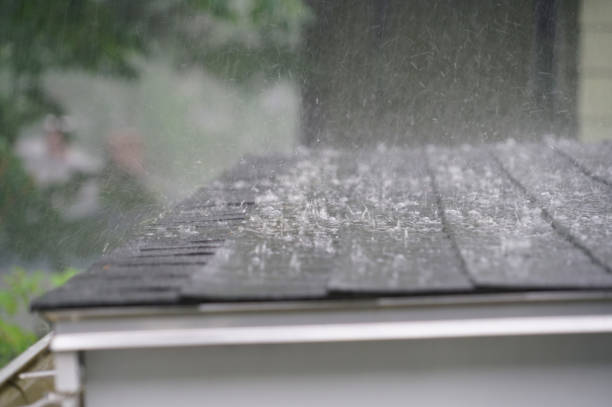 Best Roof Maintenance and Cleaning  in Waikoloa Village, HI