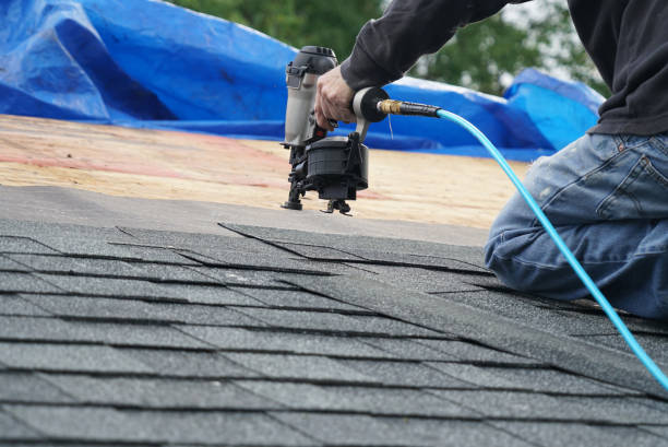 Best Roof Moss and Algae Removal  in Waikoloa Village, HI